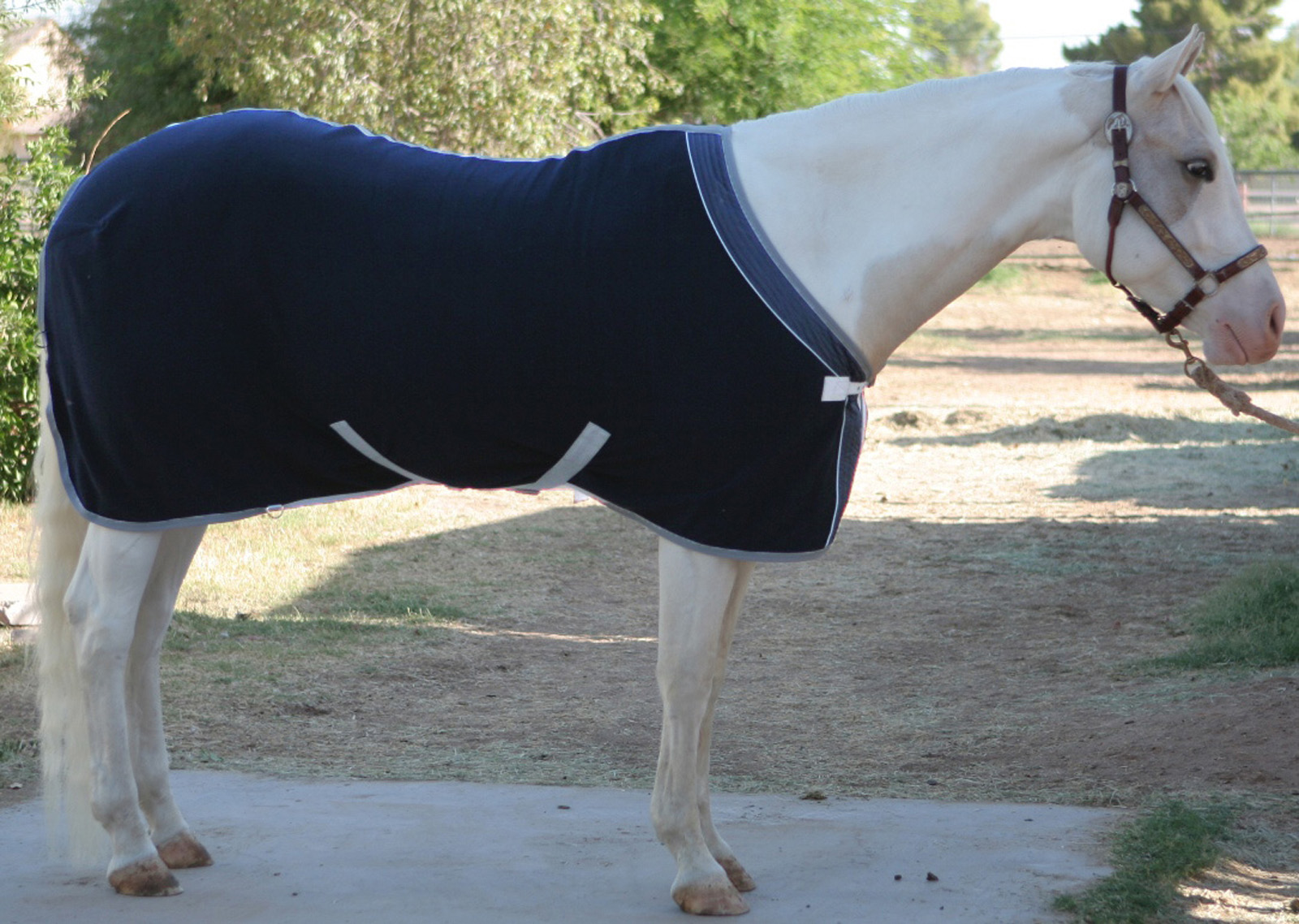 EOUS Solid Fleece Horse Cooler Equisupplies, LLC